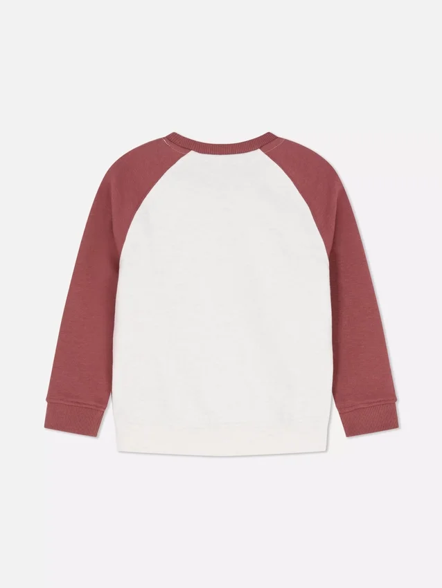1,5–8 Jahre | Color-Block-Sweatshirt