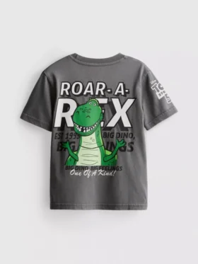 1–9 Jahre | Disney-Pixar’s «Toy Story» Rex-Hemd