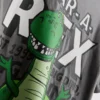 1–9 Jahre | Disney-Pixar’s «Toy Story» Rex-Hemd