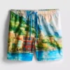 Badeshorts mit Landschaftsmotiv
