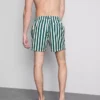 Badeshorts mit Liegestuhl-Streifenmuster