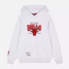 NBA Chicago Bulls Logo-Hoodie