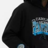 NFL Carolina Panthers Logo-Hoodie