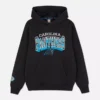 NFL Carolina Panthers Logo-Hoodie