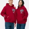 NFL Houston Texans Team-Hoodie