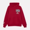 NFL Houston Texans Team-Hoodie