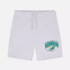 NFL Miami Dolphins Logo-Shorts