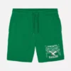 NFL Philadelphia Eagles Logo-Shorts