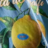 T-Shirt mit Amalfi-Zitronen-Motiv